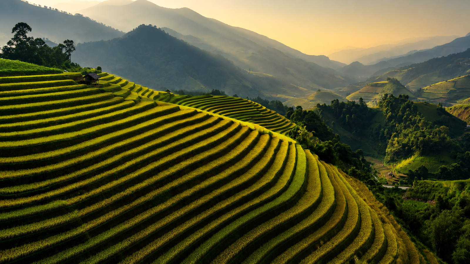 Ruộng bậc thang nông nghiệp hữu cơ